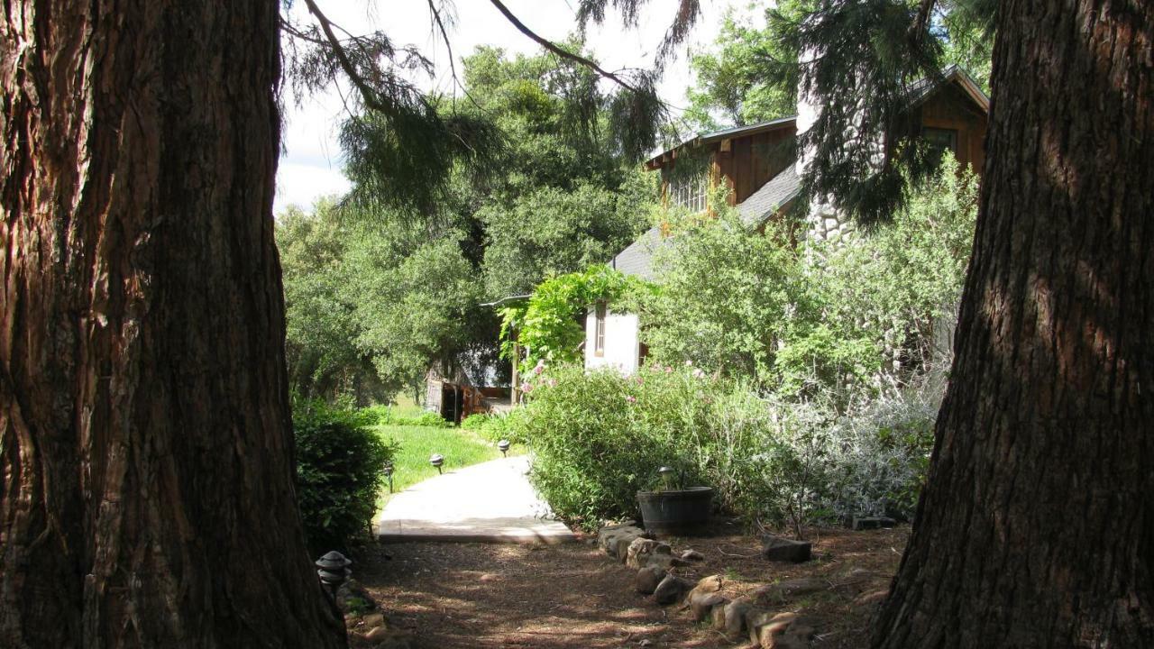 Yosemite Rose Bed And Breakfast Groveland Esterno foto