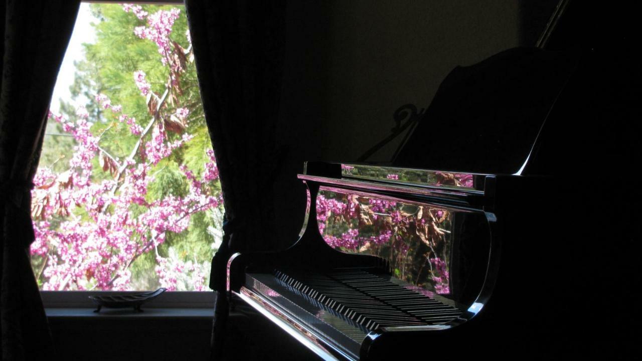 Yosemite Rose Bed And Breakfast Groveland Esterno foto