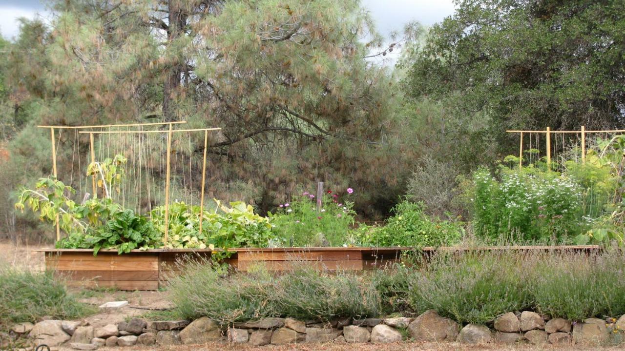 Yosemite Rose Bed And Breakfast Groveland Esterno foto